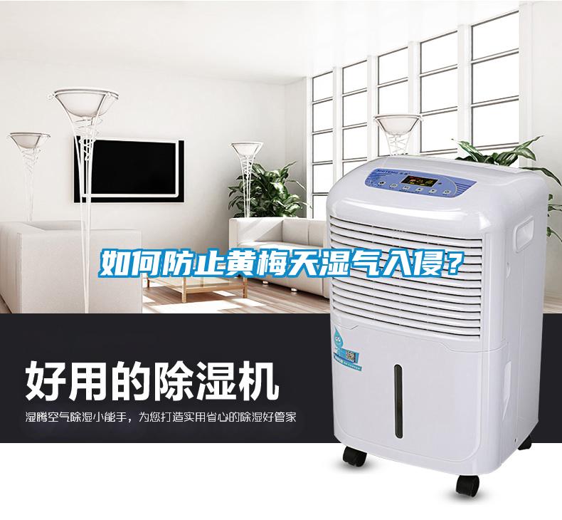 如何防止黃梅天濕氣入侵?