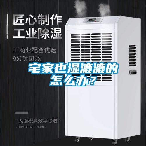 宅家也濕漉漉的怎么辦？