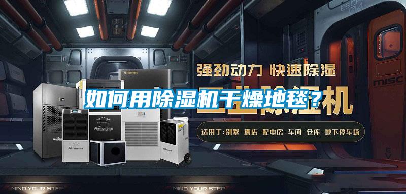 如何用除濕機(jī)干燥地毯？