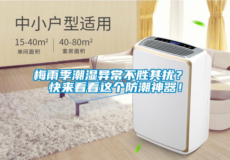 梅雨季潮濕異常不勝其擾？ 快來看看這個(gè)防潮神器！