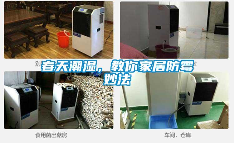春天潮濕，教你家居防霉妙法