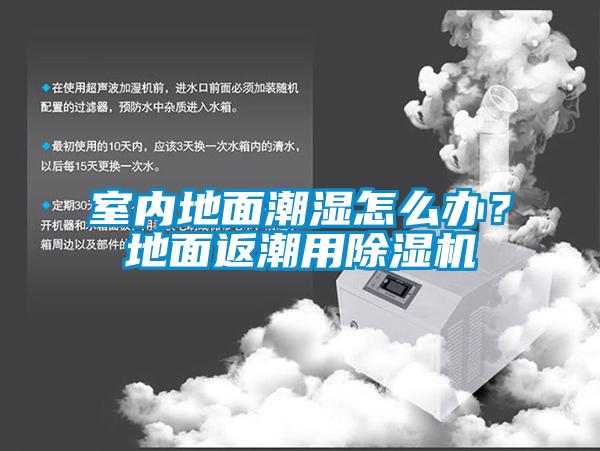 室內(nèi)地面潮濕怎么辦?地面返潮用除濕機(jī)