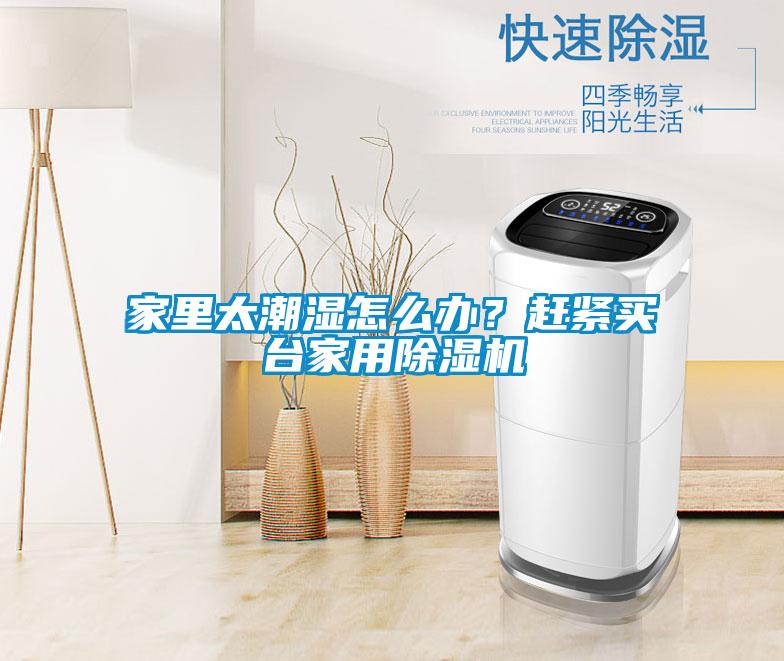 家里太潮濕怎么辦？趕緊買臺家用除濕機