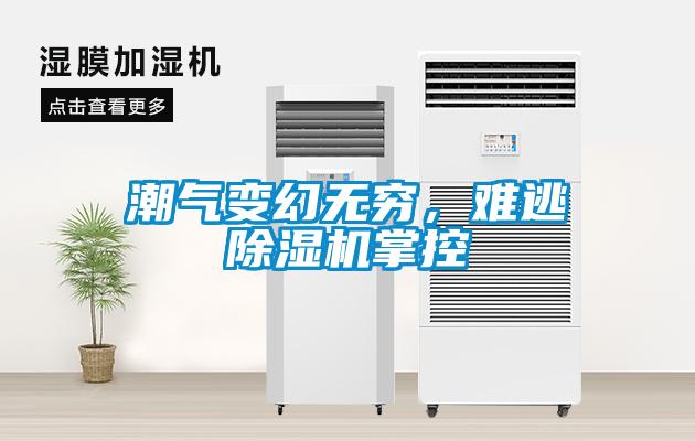 巧用車間除濕機(jī)，解決食品廠車間蒸汽問題