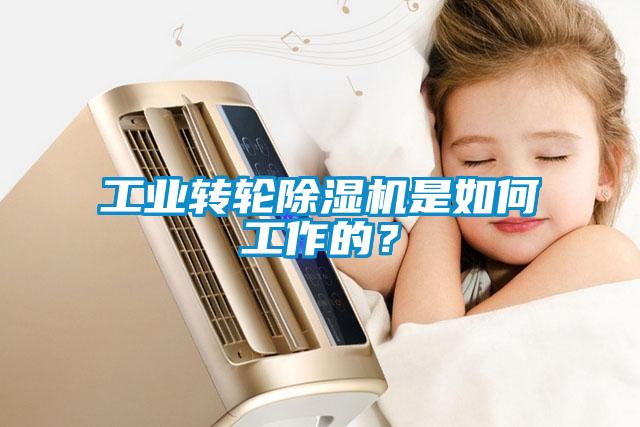 工業(yè)轉(zhuǎn)輪除濕機(jī)是如何工作的？