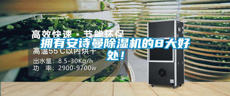 擁有安詩(shī)曼除濕機(jī)的8大好處！