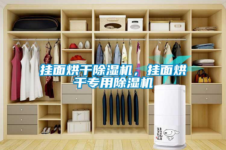 掛面烘干除濕機，掛面烘干專用除濕機
