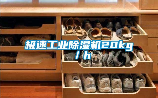 極速工業(yè)除濕機(jī)20kg/h
