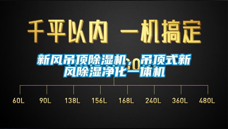 新風吊頂除濕機，吊頂式新風除濕凈化一體機