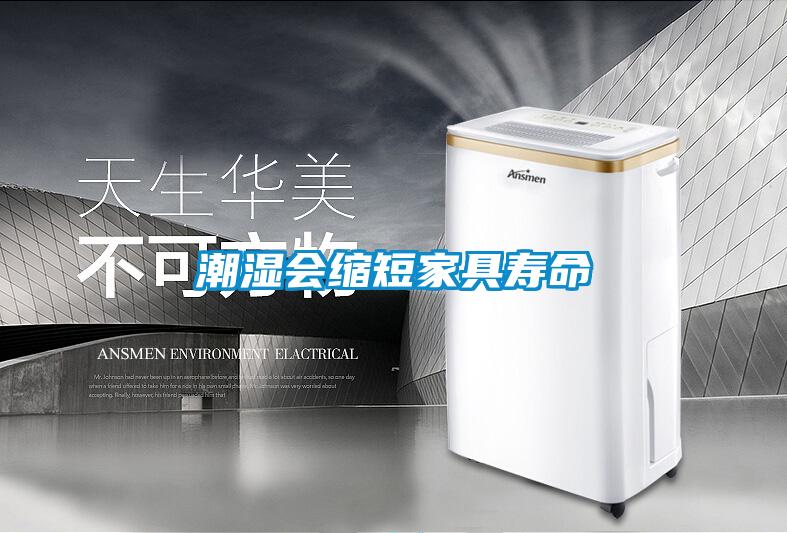 潮濕使木耳產(chǎn)生毒素,快使用除濕機除濕