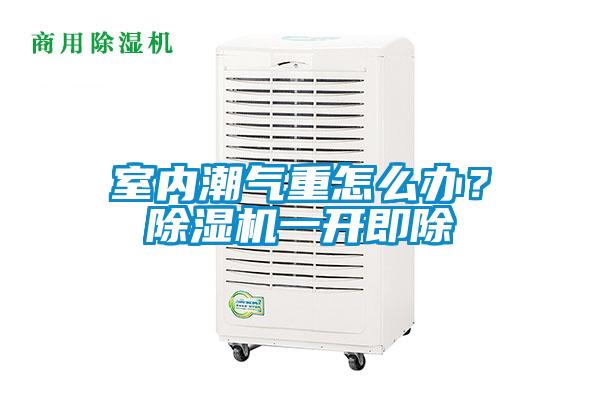 室內(nèi)潮氣重怎么辦？除濕機(jī)一開即除