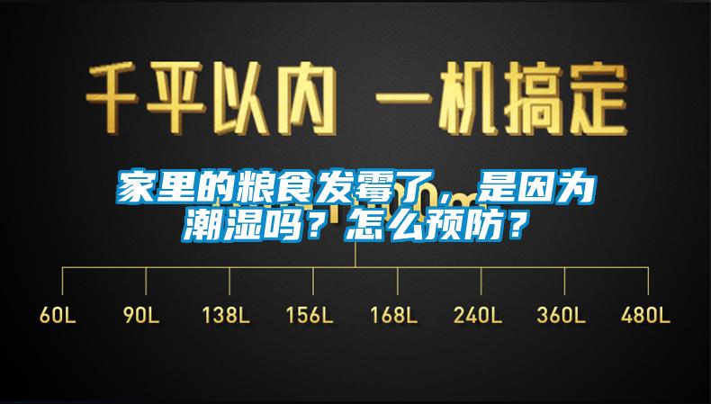家里的糧食發(fā)霉了，是因?yàn)槌睗駟?？怎么預(yù)防？