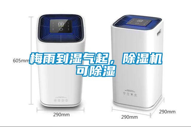 梅雨到濕氣起，除濕機(jī)可除濕