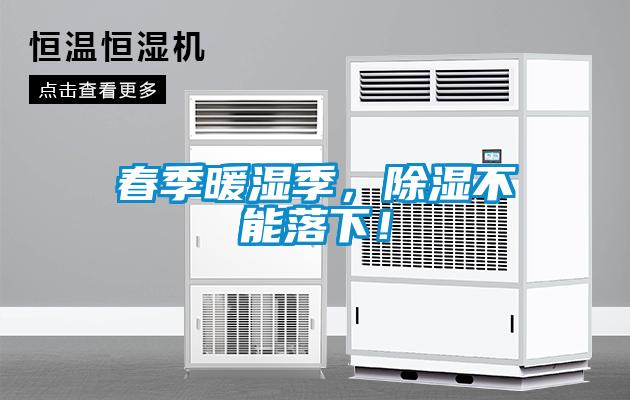 春季暖濕季，除濕不能落下！