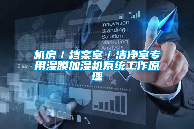 機房/檔案室/潔凈室專用濕膜加濕機系統(tǒng)工作原理