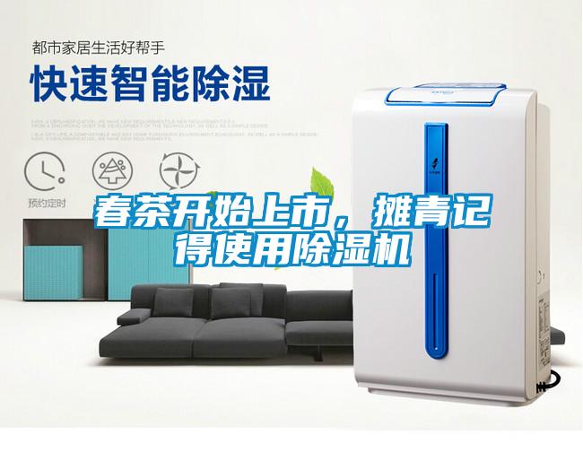 春茶開始上市，攤青記得使用除濕機