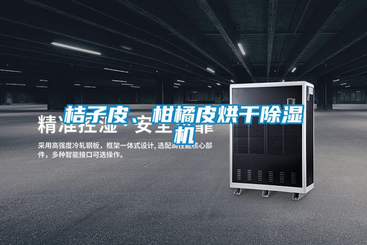 桔子皮、柑橘皮烘干除濕機(jī)