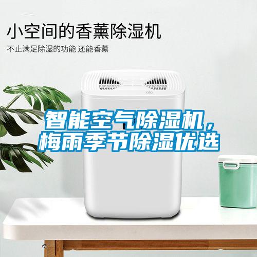巴西菇、姬松茸烘干機-怎樣烘干色澤好且菇體褶片完整？