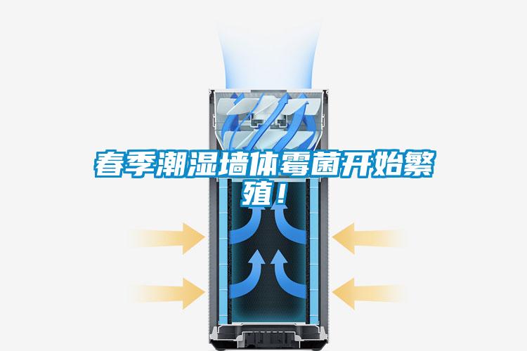 春季潮濕墻體霉菌開始繁殖！