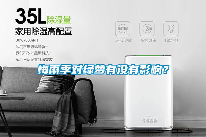 梅雨季對(duì)綠蘿有沒(méi)有影響？