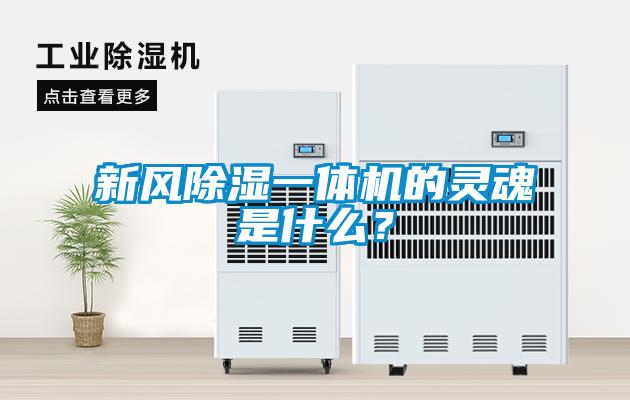 新風(fēng)除濕一體機(jī)的靈魂是什么？
