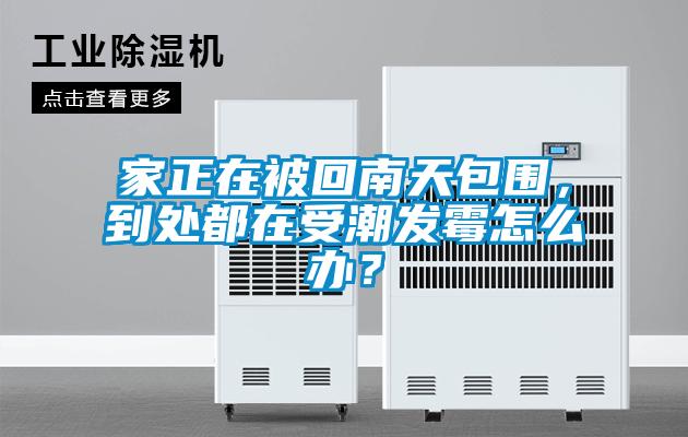 家正在被回南天包圍，到處都在受潮發(fā)霉怎么辦？