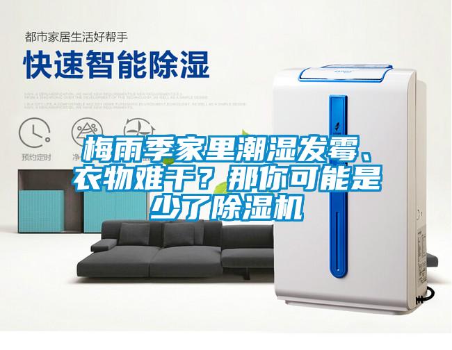 梅雨季家里潮濕發(fā)霉、衣物難干？那你可能是少了除濕機(jī)