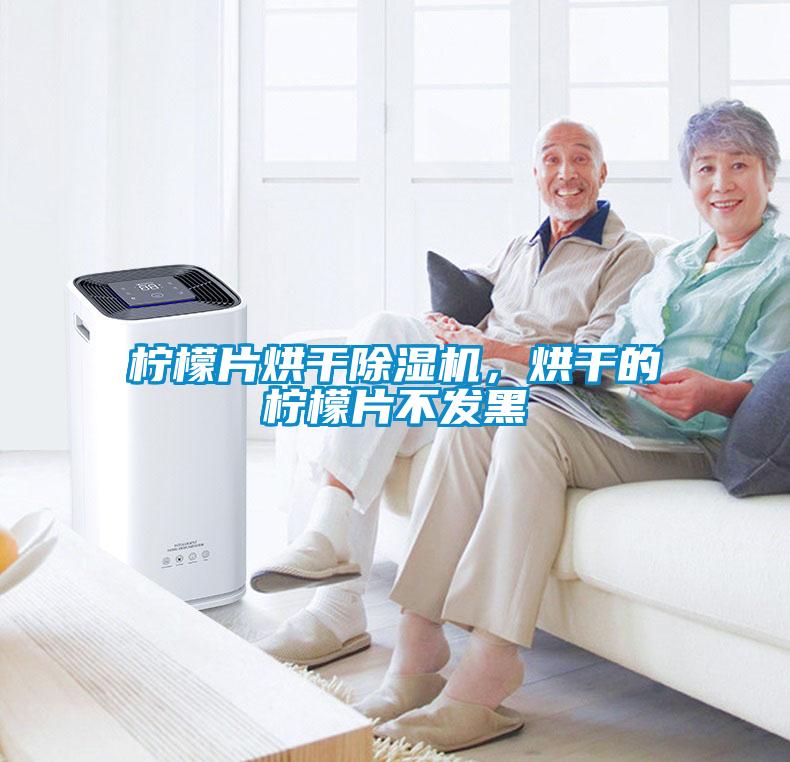 檸檬片烘干除濕機(jī)，烘干的檸檬片不發(fā)黑