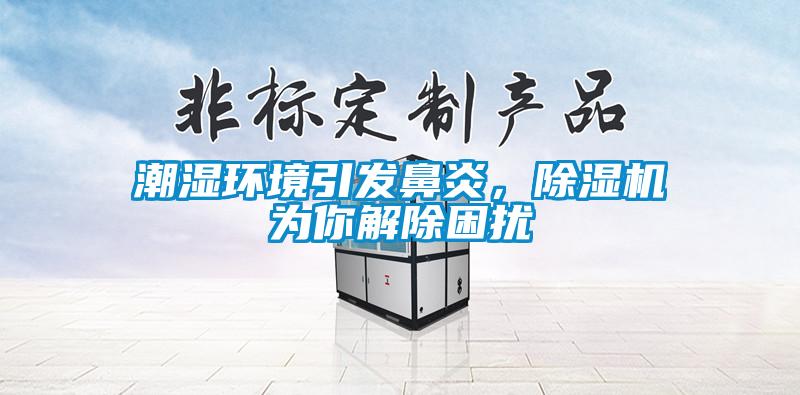 潮濕環(huán)境引發(fā)鼻炎，除濕機(jī)為你解除困擾