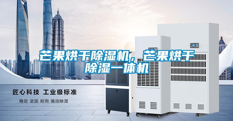 芒果烘干除濕機，芒果烘干除濕一體機