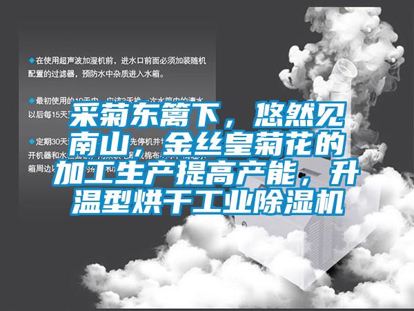 采菊東籬下，悠然見南山，金絲皇菊花的加工生產提高產能，升溫型烘干工業(yè)除濕機