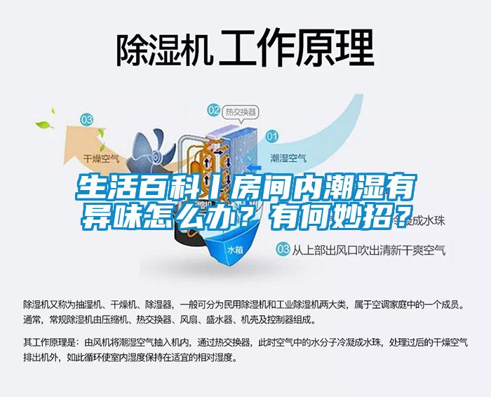 生活百科丨房間內(nèi)潮濕有異味怎么辦？有何妙招？