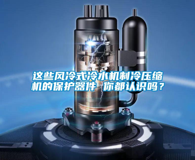 這些風(fēng)冷式冷水機制冷壓縮機的保護器件 你都認(rèn)識嗎？