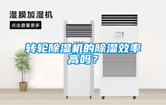 轉(zhuǎn)輪除濕機的除濕效率高嗎？