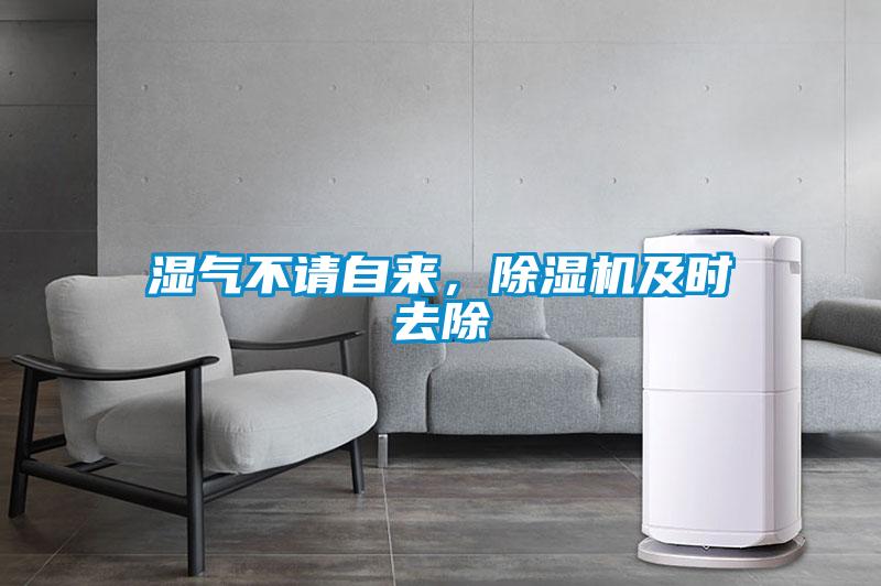 濕氣不請自來，除濕機及時去除
