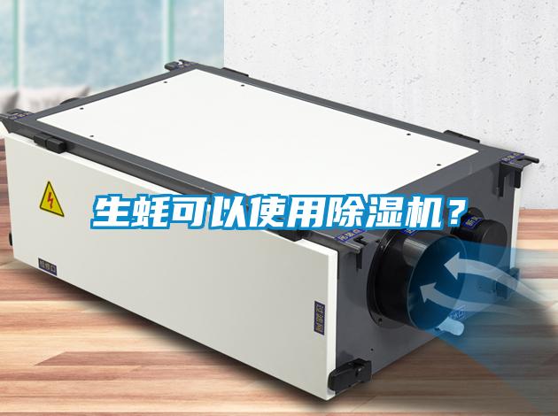 生蠔可以使用除濕機？