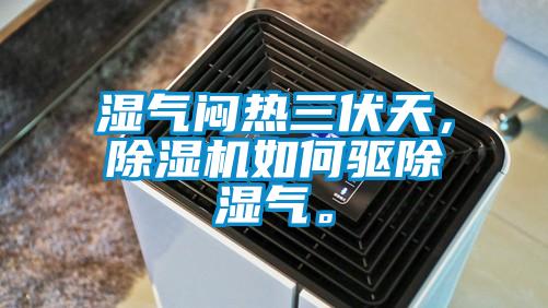 濕氣悶熱三伏天，除濕機(jī)如何驅(qū)除濕氣。
