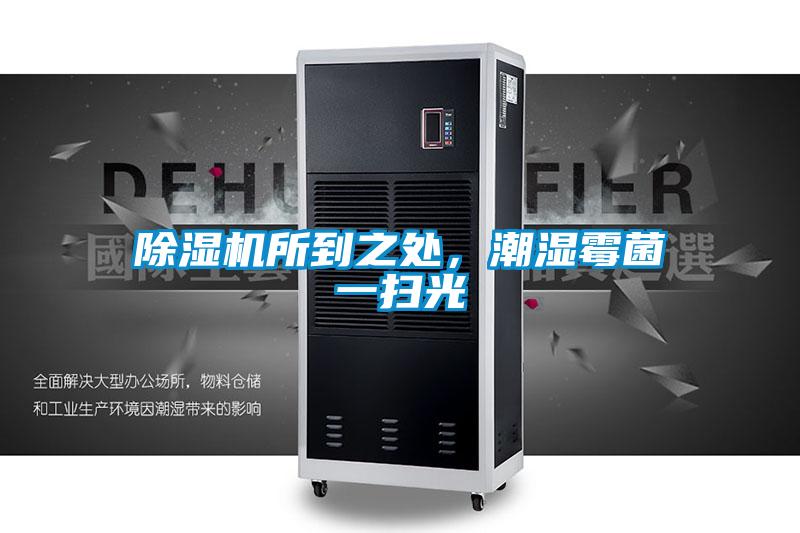 除濕機(jī)所到之處，潮濕霉菌一掃光