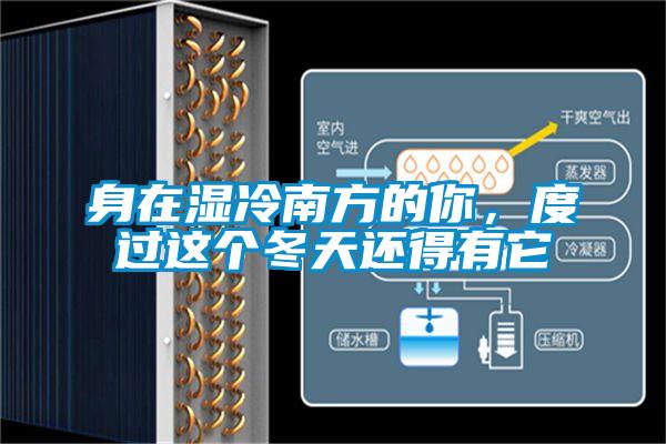 身在濕冷南方的你，度過(guò)這個(gè)冬天還得有它