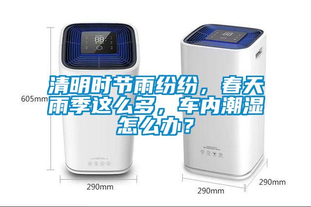 清明時節(jié)雨紛紛，春天雨季這么多，車內(nèi)潮濕怎么辦？
