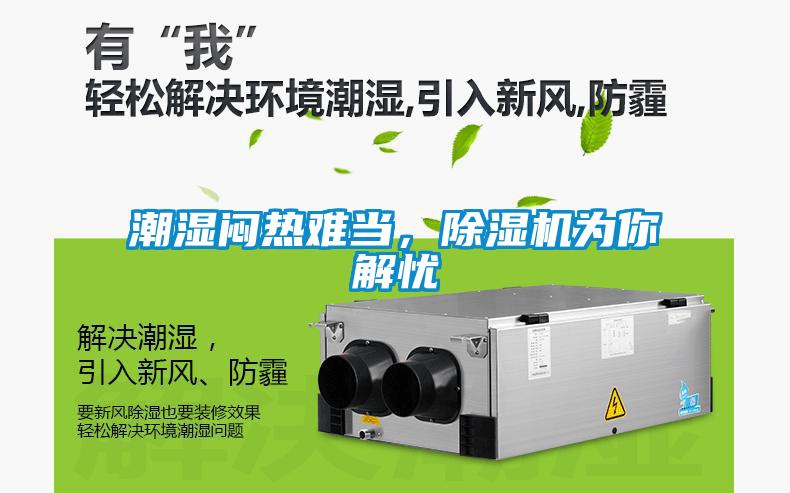 潮濕悶熱難當，除濕機為你解憂