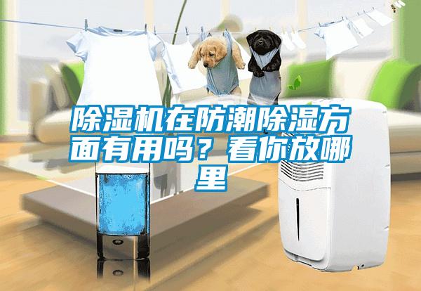 除濕機(jī)在防潮除濕方面有用嗎？看你放哪里