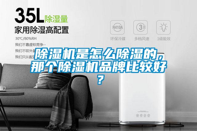 除濕機是怎么除濕的，那個除濕機品牌比較好？