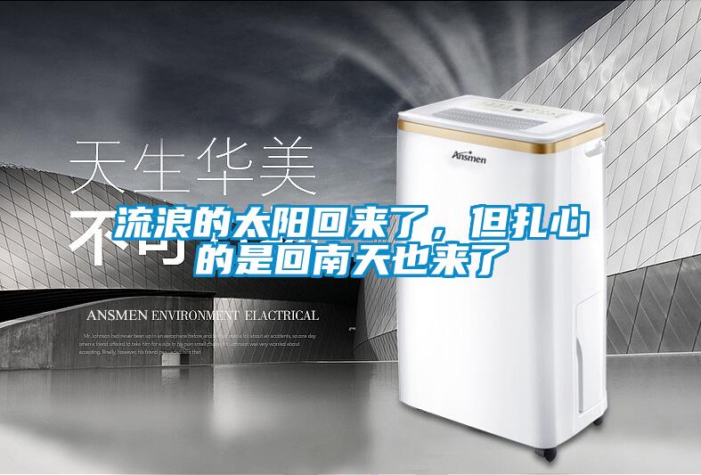 流浪的太陽回來了，但扎心的是回南天也來了