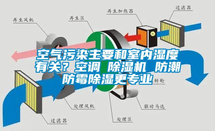 空氣污染主要和室內(nèi)濕度有關(guān)？空調(diào)≠除濕機(jī) 防潮防霉除濕更專業(yè)