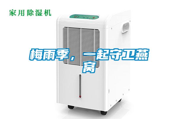 梅雨季,一起守衛(wèi)燕窩