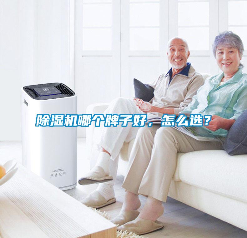 除濕機哪個牌子好，怎么選？