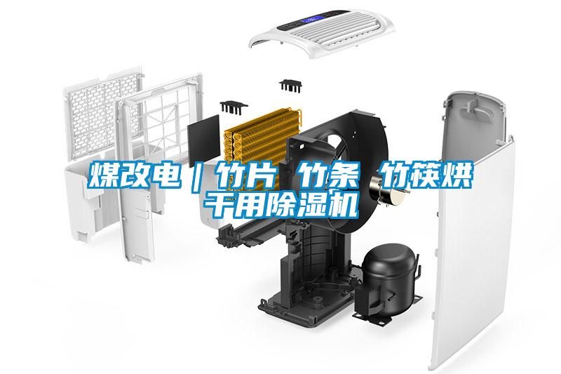 煤改電|竹片 竹條 竹筷烘干用除濕機
