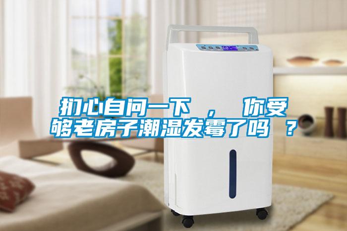捫心自問(wèn)一下 ， 你受夠老房子潮濕發(fā)霉了嗎 ？