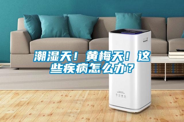 潮濕天！黃梅天！這些疾病怎么辦？